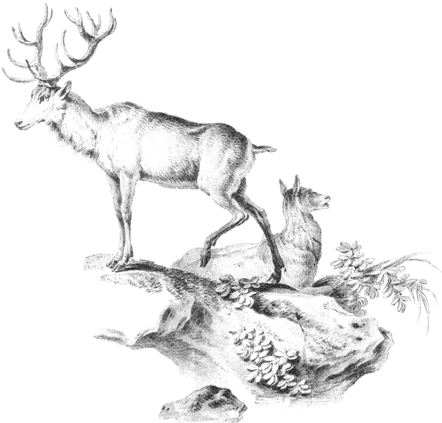 Education illustration