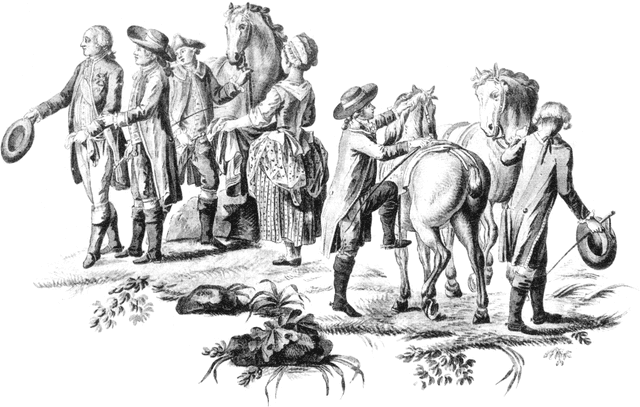 Experience illustration